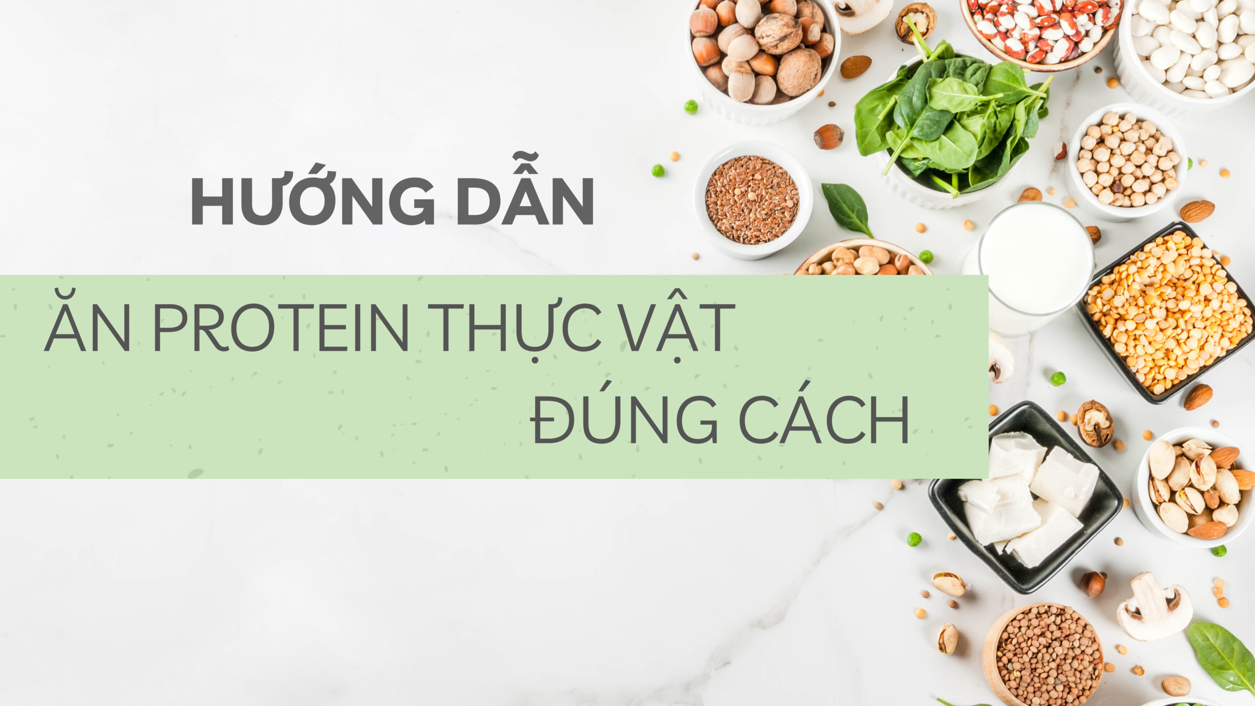 Protein Trong Chế Độ Ăn Thuần Chay & Ưu Tiên Thực Vật (Coming Soon)